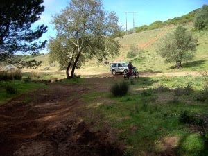 [PICT6822red[1].jpg]